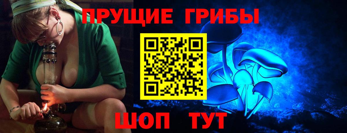 Псилоцибиновые грибы Psilocybe Бугуруслан